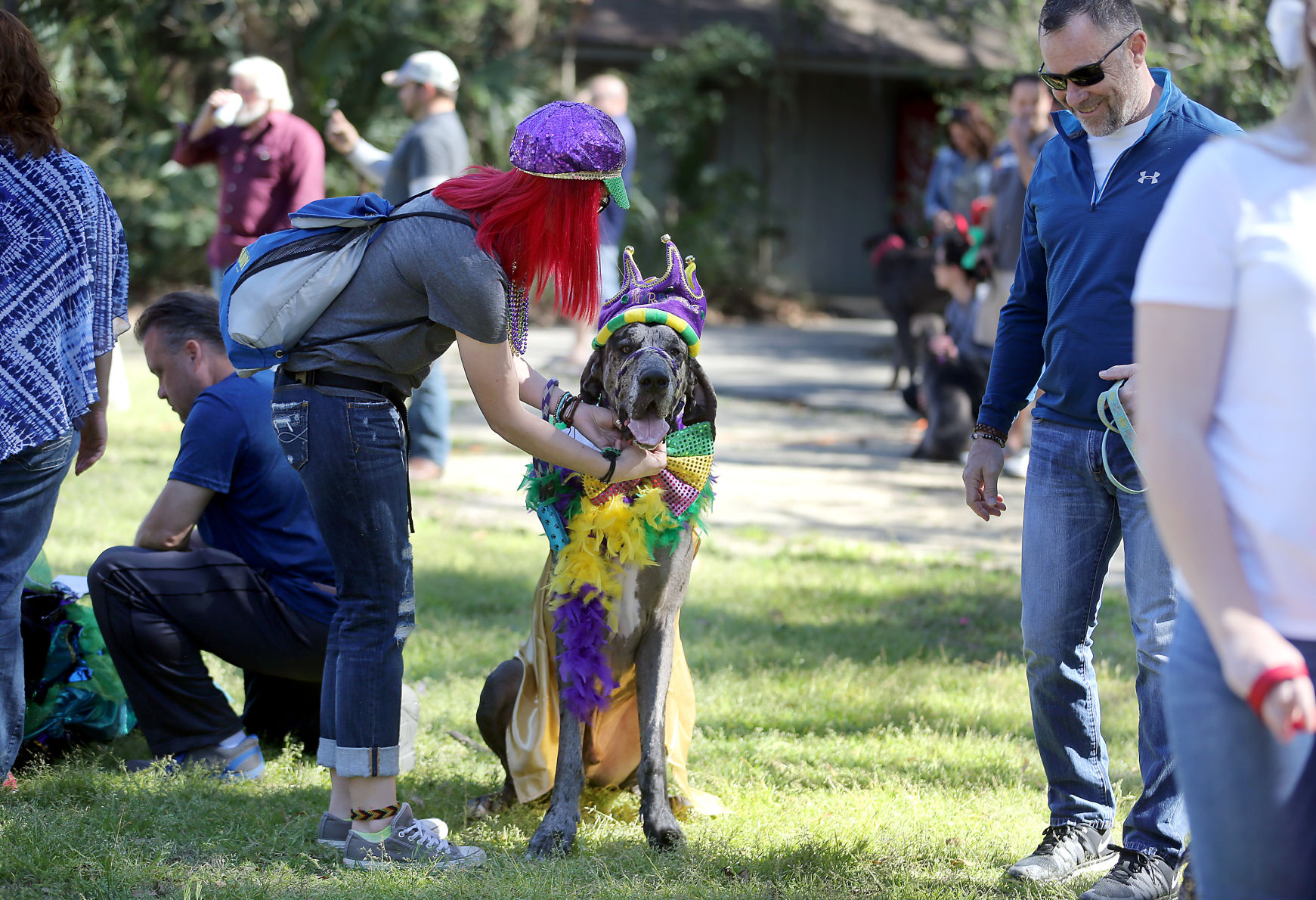 red head dog.jpg (copy)
